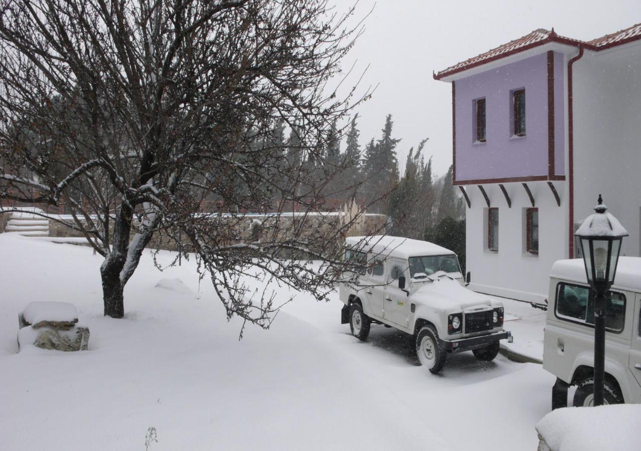 Roxani Country House Resort Marónia Buitenkant foto